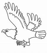 Eagles Coloring Printable Library Clipart Pages Animal Kids sketch template