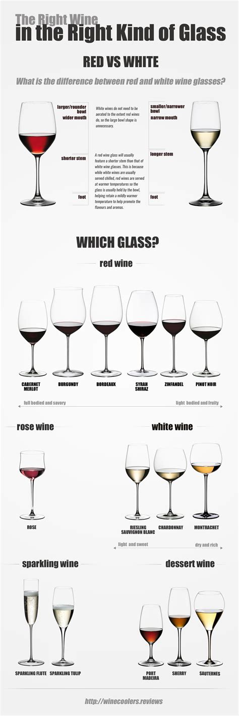 Types Of Wine Glasses [infographic]