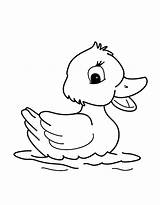 Eend Kleurplaat Baby Tekening Dieren Eendje Eenden Pato Tekenen Eenvoudige Feo Patito Duckling Ducks Tekeningen Zoek Doodles Patos Mamá Sencillos sketch template