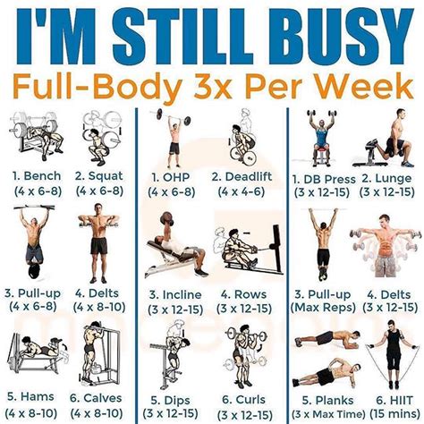 full body workout   week   full body workout fitness
