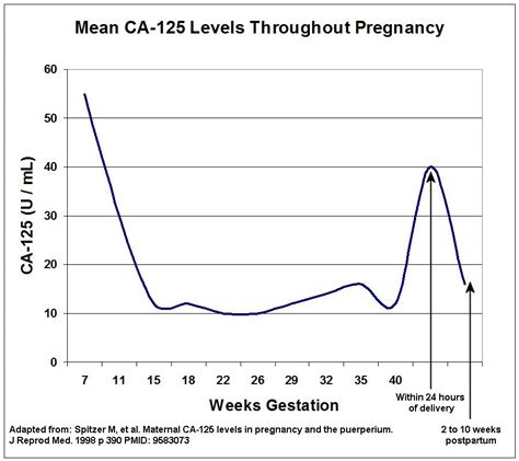 Adnexal Masses In Pregnancy