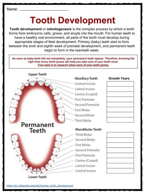 dental health worksheets
