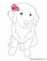 Puppy Coloring Flower Pages Cute Print Printable Easy Favecrafts Colouring Read Choose Board sketch template