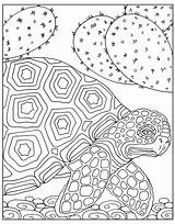 Coloring Animals Big Zendoodle Magnificent Adults Animal Pages Macmillan Adult Color Books sketch template