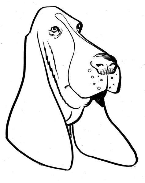 lots  basset hound clipart clipart panda abstract coloring pages