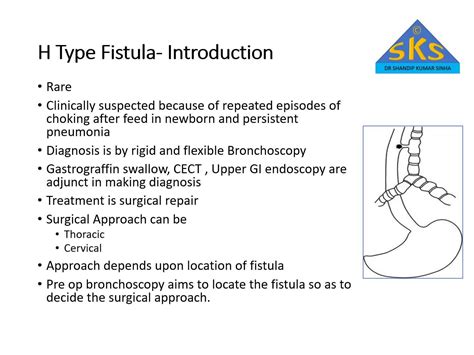 Cervical Approach For H Type Tracheoesophageal Fistula Pediatric