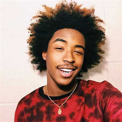 25 Cool Afro Hairstyles For Black Men Hairstylo