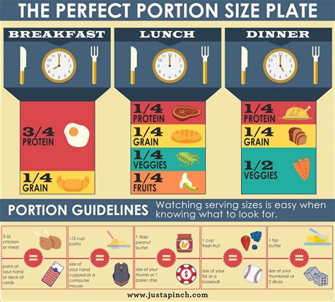 perfect portion size plate   pinch