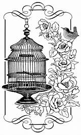 Birdcage Colouring Cages Roses sketch template