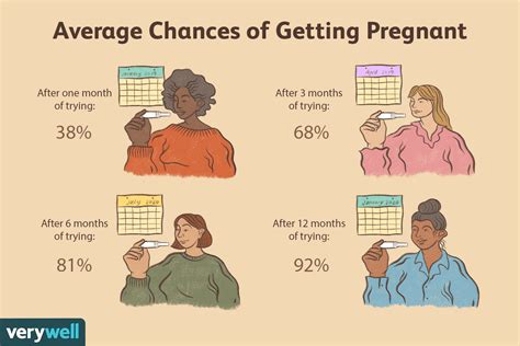 how quickly can you get pregnant in weeks or months