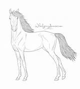 Horse Lineart Standing Pose Deviantart sketch template