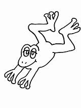 Rana Rane Broasca Coloriage Colorat Ranocchi Frog Stampare Grenouilles Ranocchia Frogs Grenouille Salta Planse Scaricare Ranita Cartoni Animati sketch template