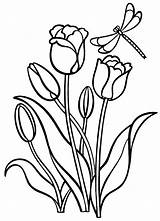 Tulipas Tulipanes Tulpen Tulipany Tulips Tulipes Kolorowanki Tulipani Colorkid Kwiaty Kolorowanka Colorir Imprimer Coloriages Imprimir Dzieci Coloriage Colorier Stampare Pequeños sketch template