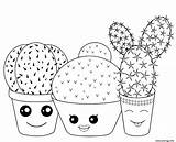 Cactus Plantes Cactaceae Gamboahinestrosa Gratuit sketch template