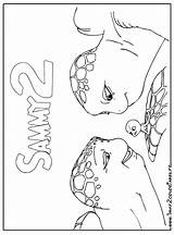 Ricky Sammy Tortue Samy Coloriages sketch template