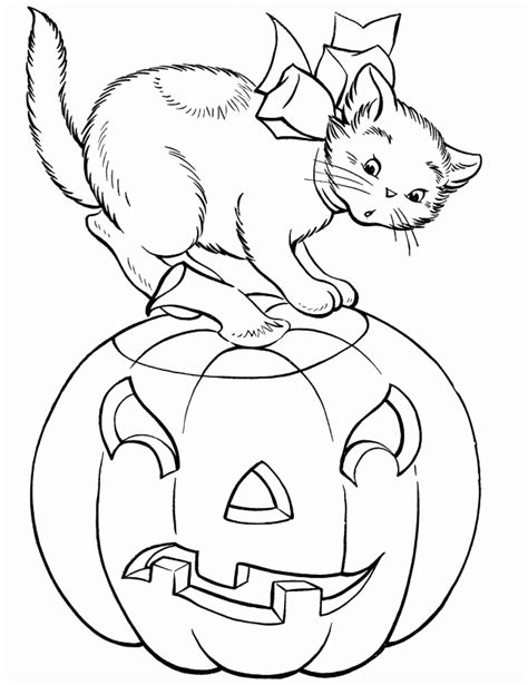 halloween cat coloring pages  coloring pages  kids pumpkin