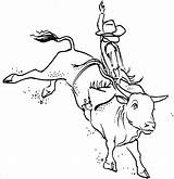 Toros Bucking Rodeo Colouring Bulls Toro Monta Pbr Cowboys Pirograbado Salvajes Caballos Vaquero sketch template