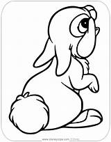 Thumper Coloring Pages Bambi Disneyclips Printable Back sketch template