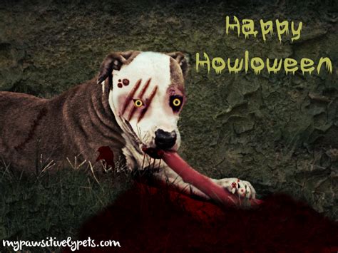 frightful furry friends  halloween pawsitively pets