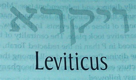 What Does Leviticus Really Say About Homosexuality Hubpages