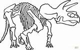 Ausmalbilder Knochen Dinosaurier sketch template