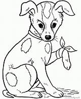 Lastimado Perrito Injured Perro 1001 Dibujosonline Categorias Ingrahamrobotics sketch template