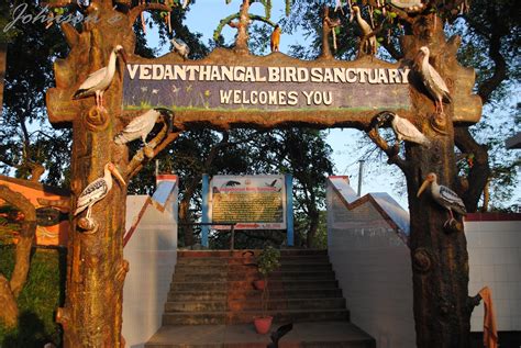 johnsons vedanthangal bird sanctuary