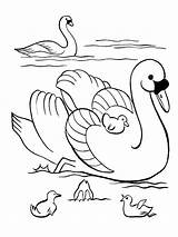 Easter Swan Lac Coloriages Buku Cisne Cisnes Mewarnai Paskah Kartun Gaddynippercrayons Cocodrilos sketch template