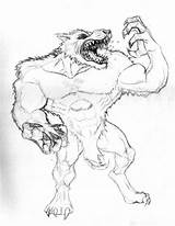 Drawing Wolfman Wolf Man Getdrawings sketch template