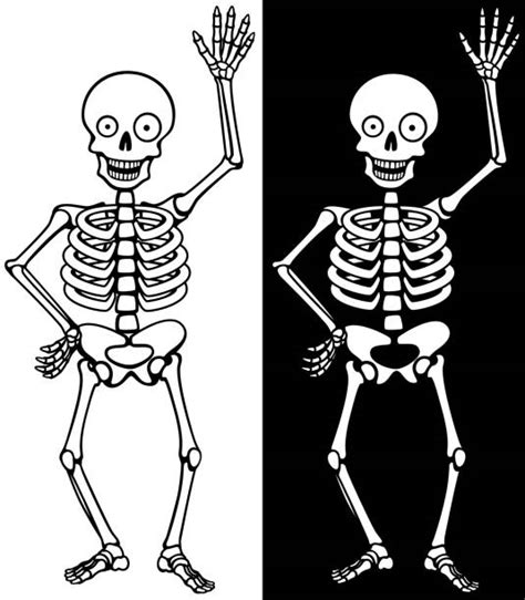 Best Funny Skeleton Illustrations Royalty Free Vector
