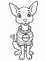 Coloring Pages Chihuahua Pet Sweet Kids sketch template