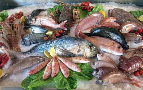 types  fish  eat smart health news