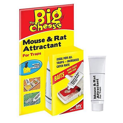 big cheese mouse trap bait stakelums home hardware tipperary
