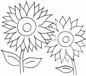 gambar bunga kartun hitam putih mewarnai bunga matahari lukisan bunga matahari menggambar
