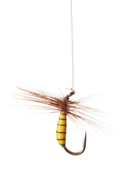 whats   tippet  fly knot midcurrent