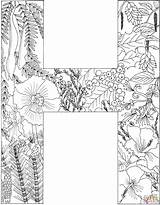 Coloring Letter Pages Plants Printable Supercoloring Animals Alphabet Puzzle Colorings Through sketch template