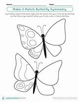 Symmetry Butterfly Geometry Dimensional Butterflies Activity sketch template