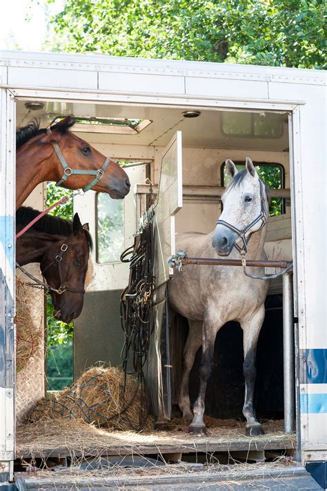 tall   horse trailer heights  popular models