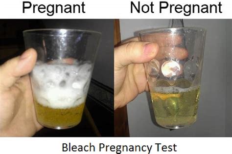 clorox bleach or bleach pregnancy test