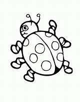 Coloring Ladybug Pages Printable Popular sketch template