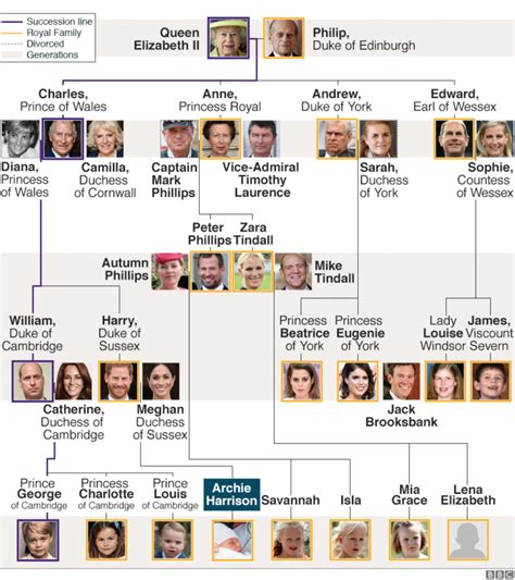 entire royal family tree explained  frisky