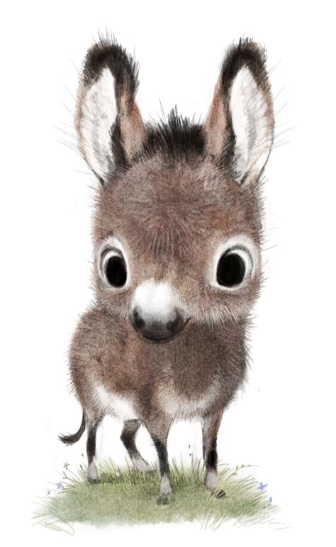 cute donkey drawing  getdrawings