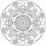 Printable Colouring Coloriages Lumineux Matin sketch template