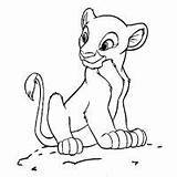 Coloring Pages Lioness sketch template