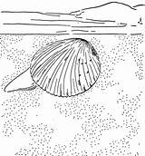Clam Coloring Giant Pages Cockle Printable Supercoloring Categories Getdrawings Drawing Results sketch template