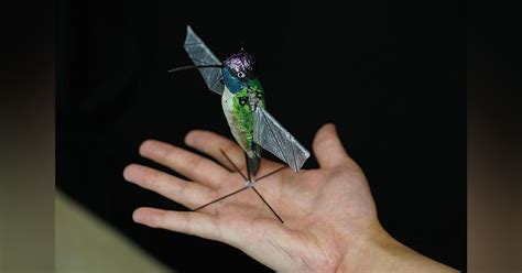 hummingbird  unmanned flying drone developed  purdue  push limits  micro technology