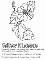 Coloring Pages Hawaiian Hawaii Kids Hibiscus Flower Printable State Worksheets Puerto Rico Color Sheets Print Yellow Usa Symbols Flowers Kidzone sketch template