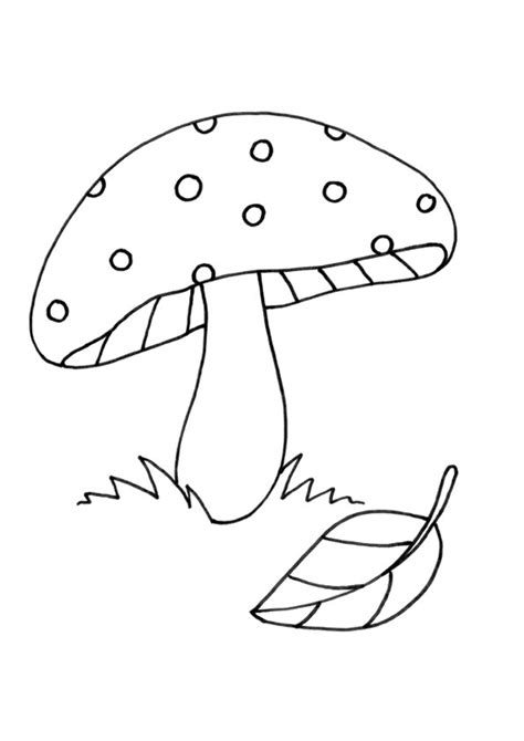 coloring pages mushroom coloring page  kids