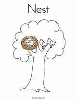 Nest Coloring Tree Built California Usa sketch template