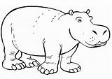 Nijlpaard sketch template